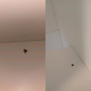 傢俬維修完工實例 11|Wanhelp 香港上門師傅實拍